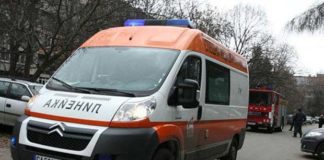 Кучето на Стефан Пенев от Дупница нахапа 13-годишния му син