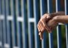 Приведено е в изпълнение ефективно наказание от две години затвор за крупна домова кражба от над 38 хил. евро в Кюстендил