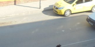 Бременна с петото си дете не пропуска клиенти на петричка пиаца,търси гърци за свирка по 20 евро