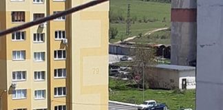 Коне отново обикалят улиците на жк „Бистрица“ в Дупница