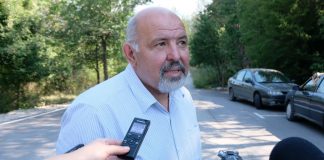 Иглолистните гори в Югозападна България, нападнати от ръждива борова оса, вече са напълно възстановени