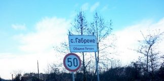 Изсъхнали иглички от борове възроди стар махленски скандал в село Габрене