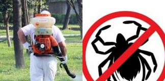 В Сандански пръскат срещу бълхи, кърлежи и комари, пчеларите да обезопасят кошерите Пръскат срещу кърлежи в Кюстендил.