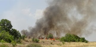Разследват смъртта на двамата горски, загинали при пожар в община Сандански