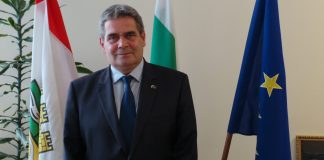 Бизнесмени изровиха археологическа находка от терен край Радомир, където ще вдигат фотоволтаична централа
