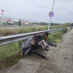 migranti