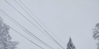 Силният снеговалеж прекъсна електрозахранването в десетки населени места в Западна България, най- засегнати са Ихтиман, Костенец, Долна баня, Самоков, Кюстендил