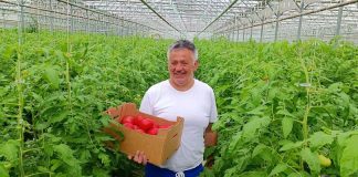 След оранжериите Кирил Мързев завърта в Долна Диканя бизнес с винарна за 25 т грозде След оранжериите Кирил Мързев завърта в Долна Диканя бизнес с винарна с капацитет за преработка на 25 т грозде
