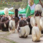 IMG_6266