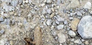 Ръждясала граната откриха в дупнишкото село Самораново Ръждясала граната откриха в дупнишкото село Самораново