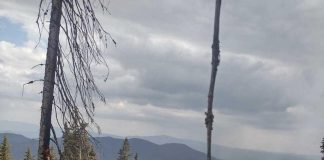 ЮЗДП: Пожарът край Юндола е ограничен, но не е потушен ЮЗДП Пожарът край Юндола е ограничен, но не е потушен.
