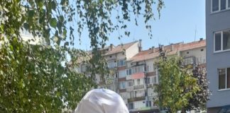 Бащата на биатлонистката Ива Шкодрева Николай храни гълъбите в кв. „Самоков“: И те имат сърчица! Бащата на биатлонистката Ива Шкондрева Николай храни гълъбите в кв. „Самоков“: И те имат сърчица, а аз имам причина да се движа