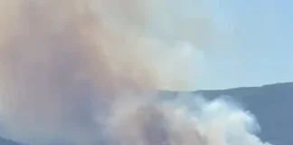 Голям пожар между четири Кюстендилски села, огнеборци, горски и доброволци са на място