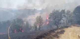 Мъж с тежки изгаряния след пожар край Левуново е транспортиран с медицински хеликоптер