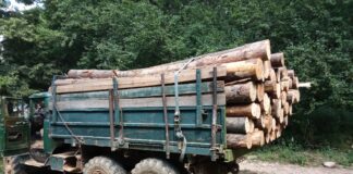 ДАНС и прокуратурата да проверят ДГС – Белица начело с Иван Бакъшов: сигнали за нарушения и съмнителни обществени поръчки с „БЕКО-ЕКСПОРТ-ИМПОРТ“ ООД Уволниха шефа на ДГС- Петрич Н. Тановски след сигнал, че едра строителна дървесина се изписва като дърва за огрев