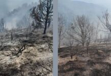 Служители на ДГС Гърмен, пожарникари и доброволци се борят с огъня на площ 90 дка в района между селата Скребатно и Балдево