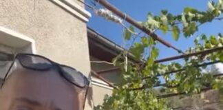 Гергана Петрова и Дима от Струмяни: Полицаите не показаха нито заповед за обиск, нито заповед за арест! Обърнаха къщата на опаки, търсят злато и пари!