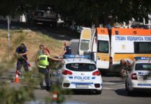 Кюстендилец се заби в крава край Разлог, животното загина, шофьорът е в болница Кюстендилец се заби в крава край Разлог