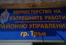 Полицията в Трън затяга контрола заради свободно движещи се селскостопански животни, кола и крава се сблъскаха край „Секирица“