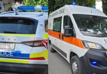 Две издирвани непълнолетни са открити в Кюстендил, разследват смърт на муле и притежание на канабис в Дупница Две издирвани непълнолетни са открити в Кюстендил